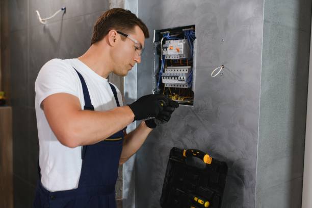 Best Electric Panel Repair  in Waldo, AR